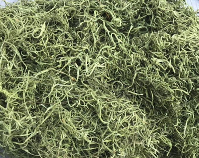 Light Green Spanish Moss, Spanish Moss,spanish Moss Bulk, Dried Spanish Moss, Preserved Spanish