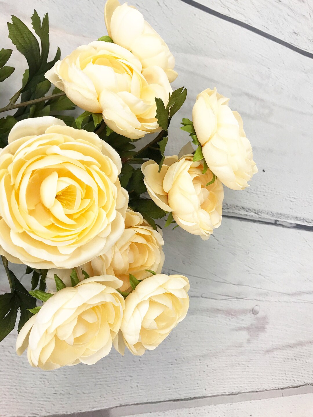 Beige Ranunculus Bush, Ranunclus Bush, Spring Flowers, Hawaii Flower ...