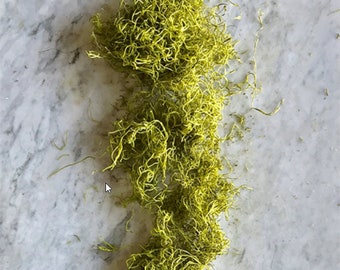 Chartreuse Spanish Moss,Spanish Moss,Spanish Moss Bulk, Dried Spanish moss,Preserved Spanish moss,Moss for arrangements, Moss, Keleas, Kelea