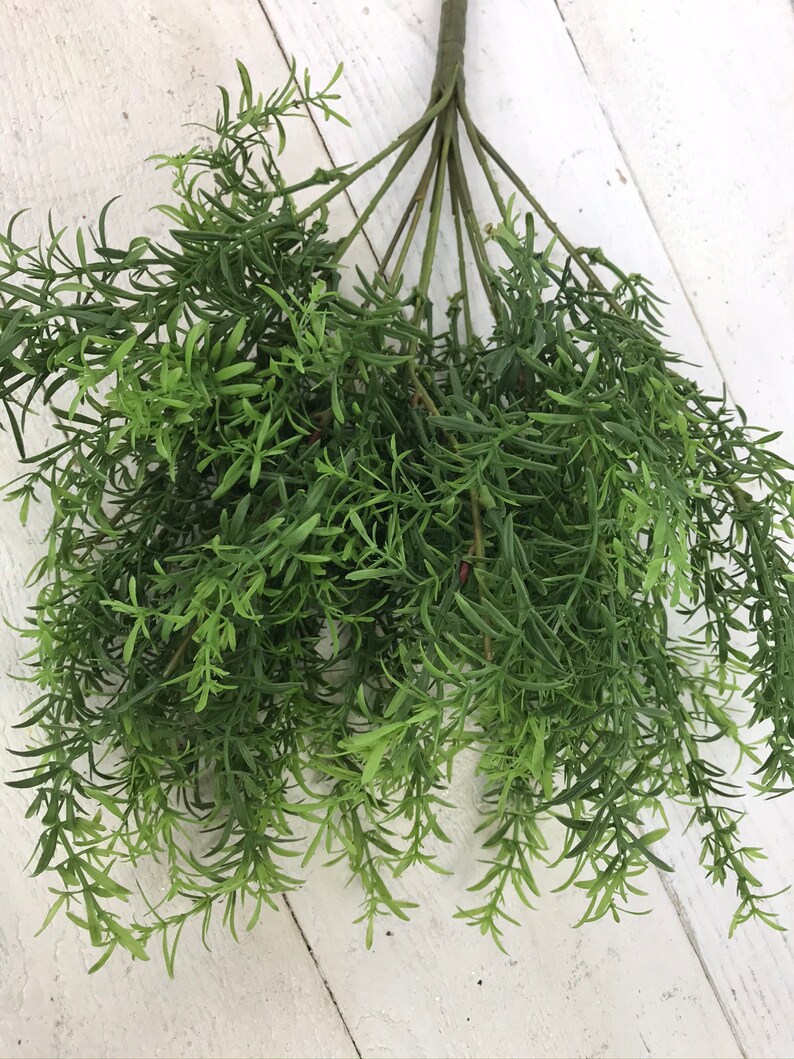 Rosemary Bush Greenery Winter Rosemary Greenery Bush Etsy