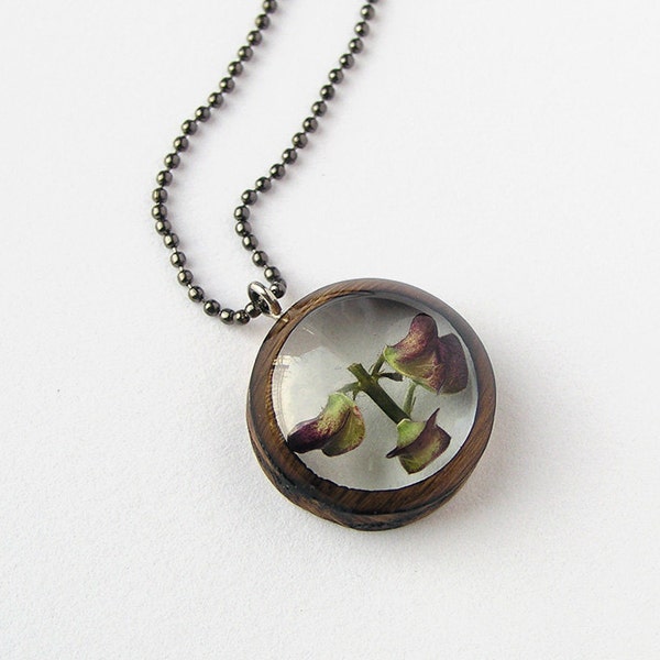 Resin and Wood Necklace Pendant with Hoary Skullcap: Nature Jewelry with Real Plants