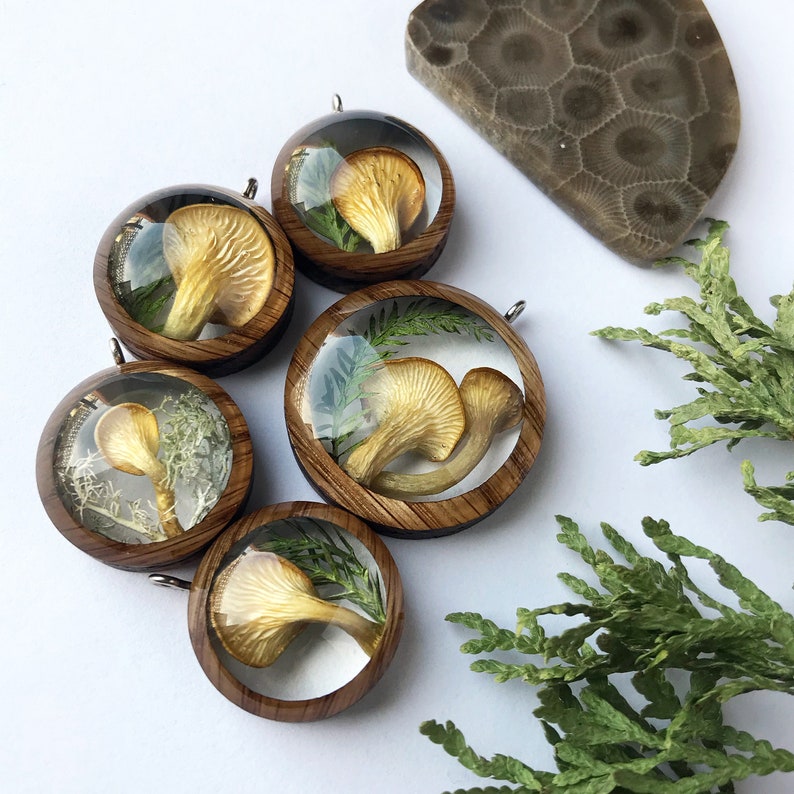 Resin Terrarium Necklace with Mushroom Moss: Fungi Botanical Mushroomcore Fairy Woodsy Northwoods Boreal Jewelry Wood Pendant