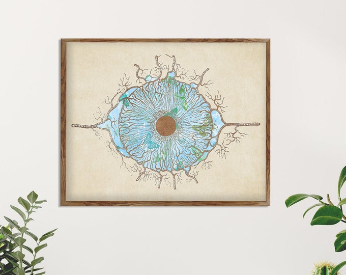 Eye Diagram, Human Eye Illustration, Anatomy Art, Optometrist Gift, Optometry Art, Optometry Gift for Doctor, Clinic Wall Decor, Beige Print
