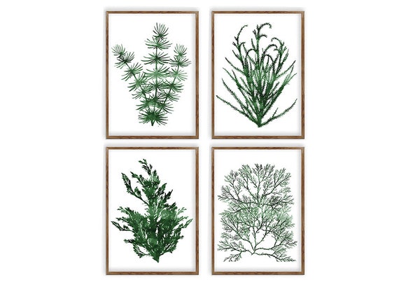 Seaweed Watercolor Painting, Coral Print Set Of 4, Wall Art, Nautical Art, Beach House Décor, Fern Canvas Print