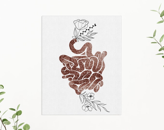 Digestive Tract Anatomy Art Print, Anatomy Print Digestive System, Anatomical Poster, Doctor Gift, Doctor Office Decor, Medical Illustration
