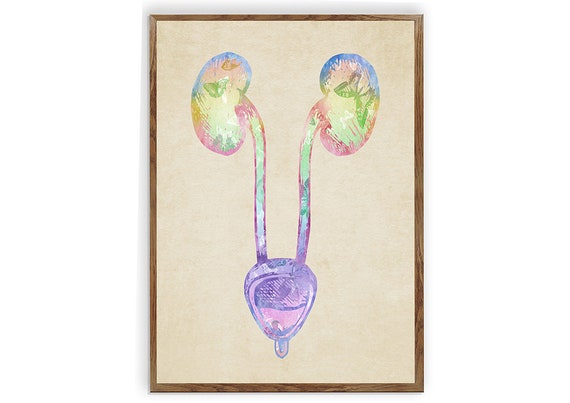 Uterus Watercolor Print Human Anatomy Art Clinic Decor Medical Art OBGYN Doctor