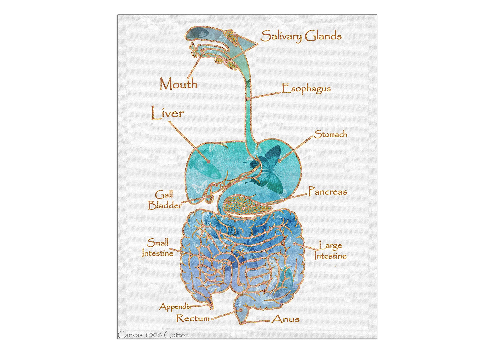 Gastrointestinal Tract Anatomy Print Watercolor Digestive System Floral Intestines Gastroenterologist Gift Medical Art Clinic Decor