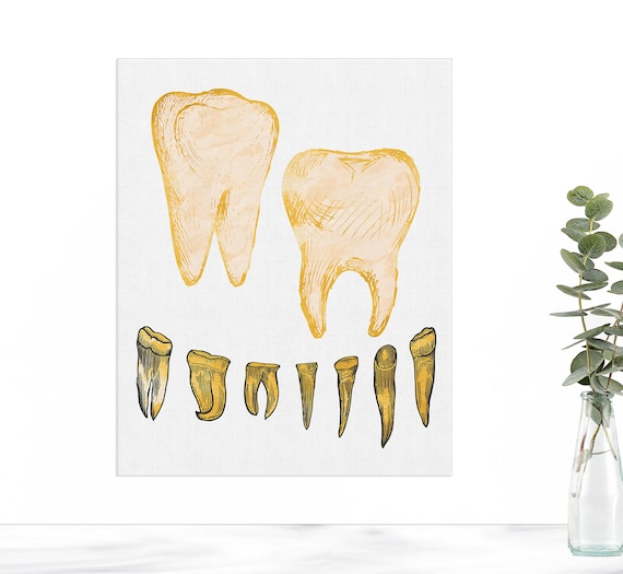 Tooth Anatomy Print, Tooth Wall Art, Dental Hygienist Gift, Dental Assistant, Graduation Gift, Dentist Office Decor, Dentistry Art Science