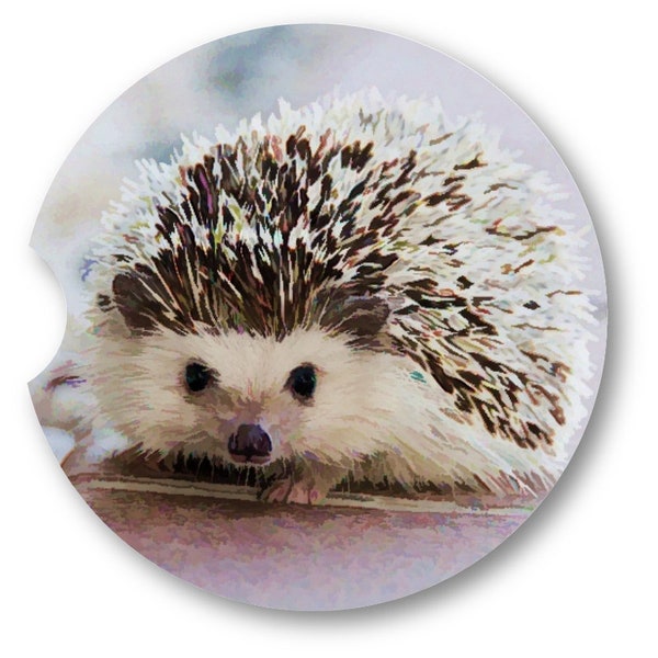 Hedgehog   Art Car CoastersGifts For Her|Hedgehog Lovers - Matching Pair - Set of 2