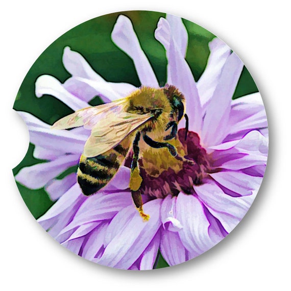Honeybee Auto Coaster set