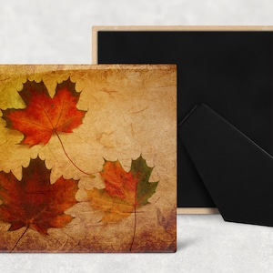 May include: Three autumn leaves in shades of red, orange, and yellow on a textured, brown background. The leaves are arranged in a triangular shape, with the largest leaf at the top and the two smaller leaves at the bottom.