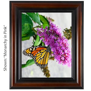 Butterfly Art Print - From a Secret Paradise - Brown Wall Frames