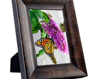 Framed Art Photography - Butterfly, a Secret Paradise - Burl Frames