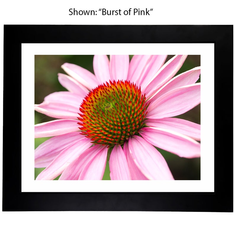 Art Prints From a Secret Paradise Framed Art classic balck image 1