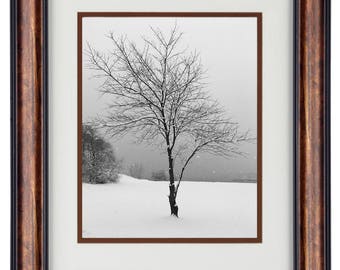 Solitary Winter Tree Wall Art, Framed Black and White Photography, Strong Lone Tree Snow Scene, Secret Paradise Nature Print