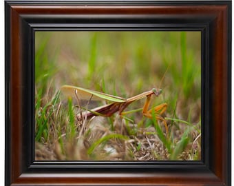 Art Photography - From a Secret Paradise - Cherry Framed Art