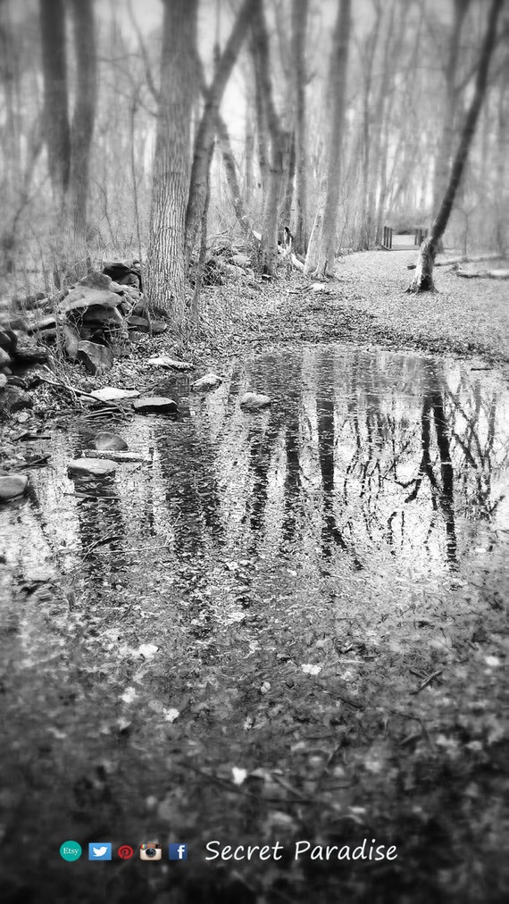Fine Art Prints B&W From Secret Paradise Shop Etsy