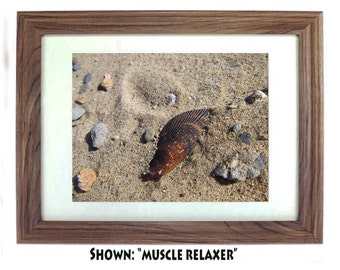 Beach Art Prints - From a Secret Paradise - Driftwood Beach Wall Frame