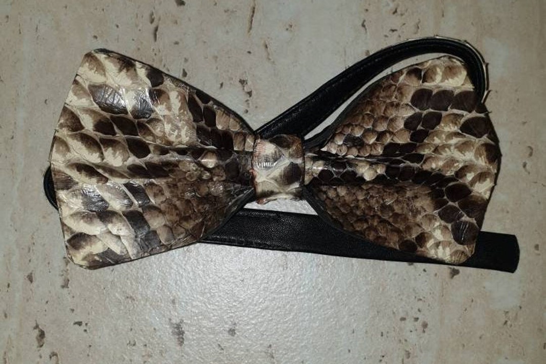 Large Natural Python Snakeskin Leather Bow Tie L1 - Etsy