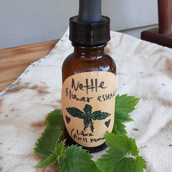 Nettle flower essence