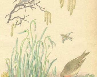 Old Fashioned Nature Ephemera Pages, Edith Holden Country Diary Printable, Botanical Junk Journal Download, Floral Retro Scrapbook Ephemera