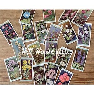 1930s Cigarette Card