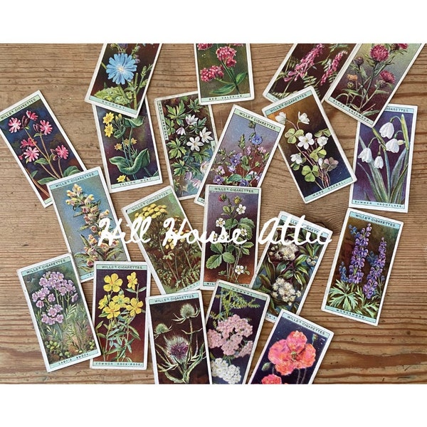 Vintage 1930s Wild Flower Wills Cigarette Cards - Ideal for Junk Journals, Collage Art, Scrapbooking - PDF, downloadable, printable