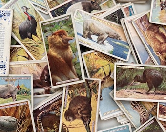 23 x Vintage cigarette cards - animals. Natural History. Scrapbooking, junk journalling, collage supplies. Antique fan gift. Unusual present