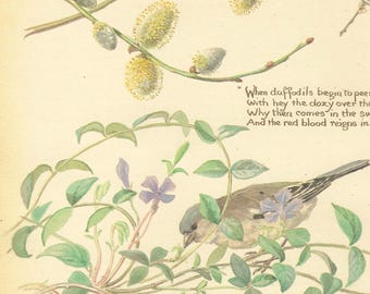 Old Fashioned Nature Ephemera Pages, Edith Holden Country Diary Printable, Botanical Junk Journal Download, Floral Retro Scrapbook Ephemera