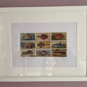 Impression d'art mural poisson vintage des années 30 sans cadre/encadré, carte de cigarette série Sea Fishes. Cadeau rétro unique, cadeau de pendaison de crémaillère ou d'anniversaire