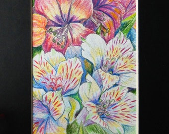 Dibujo original de Inca Lily flores, acuarela lápices ACEO