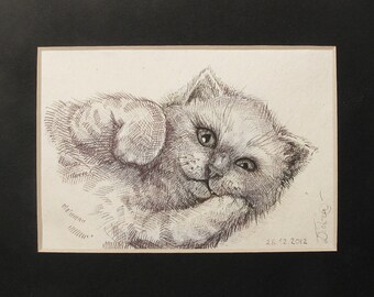 Original Scottish Cat Kitten Pen Drawing Paper Framed ACEO