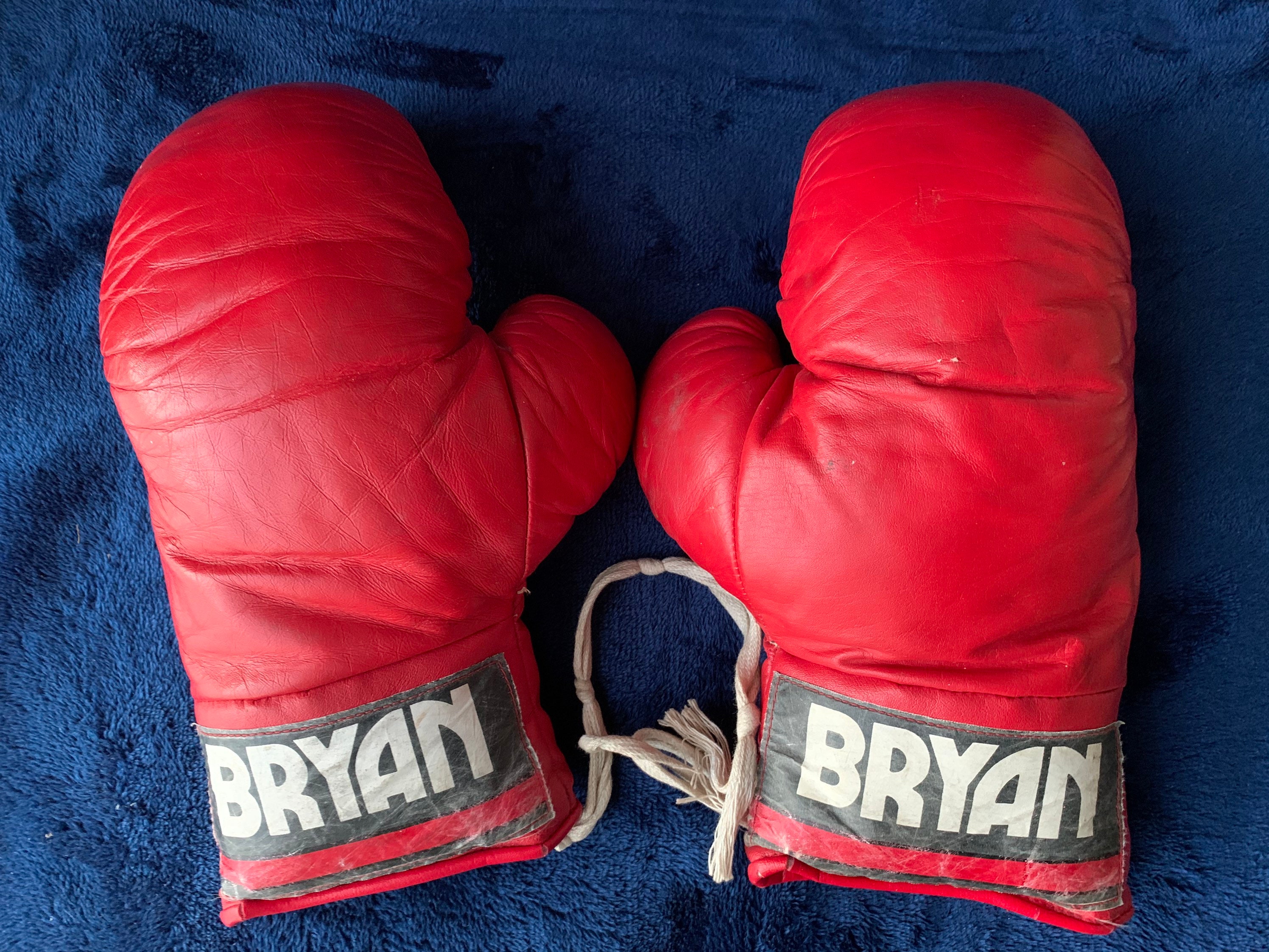 Bryan boxing store gloves