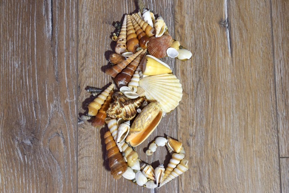 Download Strand thema slaapkamer accessoires HD