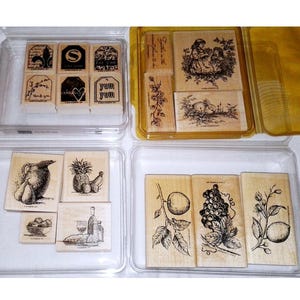 Choose Stampin Up Rubber Stamp Set Tender Toile Studio Sketches Sun Ripened Terrific Tags
