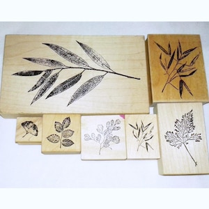 Lot All Fred B Mullett Rare Rubber Stamps Nature Willow Branch Bamboo Ginkgo Leaf Fern Tree Plant Impressions