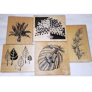 Choose Large Tree Leaf Rubber Stamp Oasis Nature Butterfly Palm Maple Root Bamboo Scenery Judikins Tin Can Mail Just for Fun