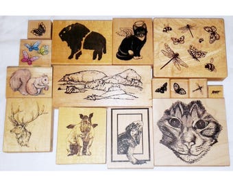 Lot Animal Rubber Stamps Vintage Deer Buck Iguana Rhino Cat Hippo Squirrel Butterfly Buffalo PSX Inkadinkado River City Magenta