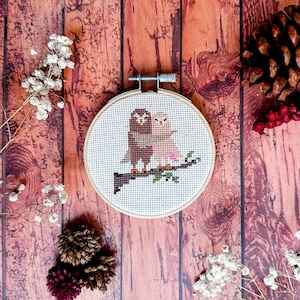 Owls in Love Cross Stitch Kit - &quot;Owl Always Love You&quot; - Beginners Cross Stitch Kit - Mini Cross Stitch Kit - Needlepoint Kit - Embroidery