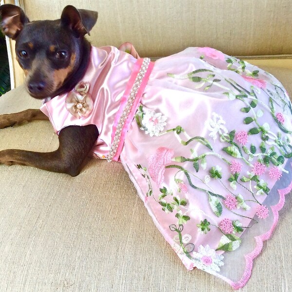 Bridesmaid Dog Dress Etsy