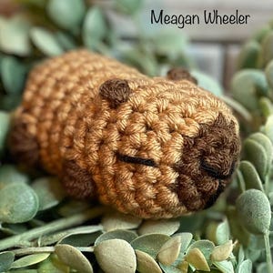 Crocheted Cabybara, Capybara Plushie, Stuffed Capybara, Capybara Toy, Capybara Amigurumi