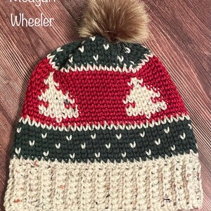 Crocheted Hat, Ladies Winter Hat, Winter Hat with Pom Pom, Ladies Hat with Pom Pom, Emerald Green, Christmas Tree Hat, Winter Hat
