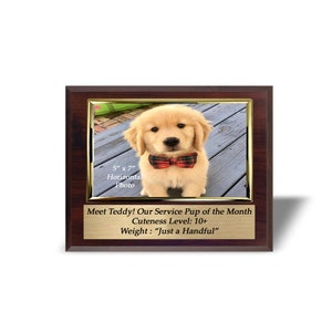 Personalized Photo Plaque: 5x7 Horizontal Picture Frame, Custom Text