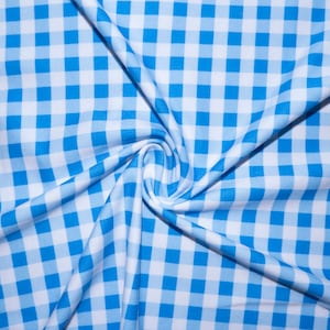 May include: A close-up shot of a blue and white checkered fabric. The fabric is arranged in a swirl pattern, with the checks forming a grid of squares. The fabric is likely cotton or a similar material.