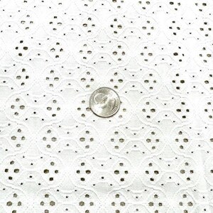 May include: Close-up of white eyelet fabric with a repeating floral pattern. The fabric has small, evenly spaced holes throughout. A quarter coin is placed on the fabric for size reference.