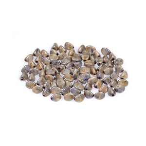 Pincées de perles tchèques 5 x 3 mm, bleu azur, 50 perles, 1 trou traversant pour le tissage de perles, perles d'accent, couleur #65431 (sku 05-1005A), 50 perles