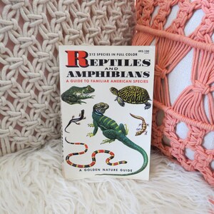 Reptiles and Amphibians Golden Guide Book - Etsy