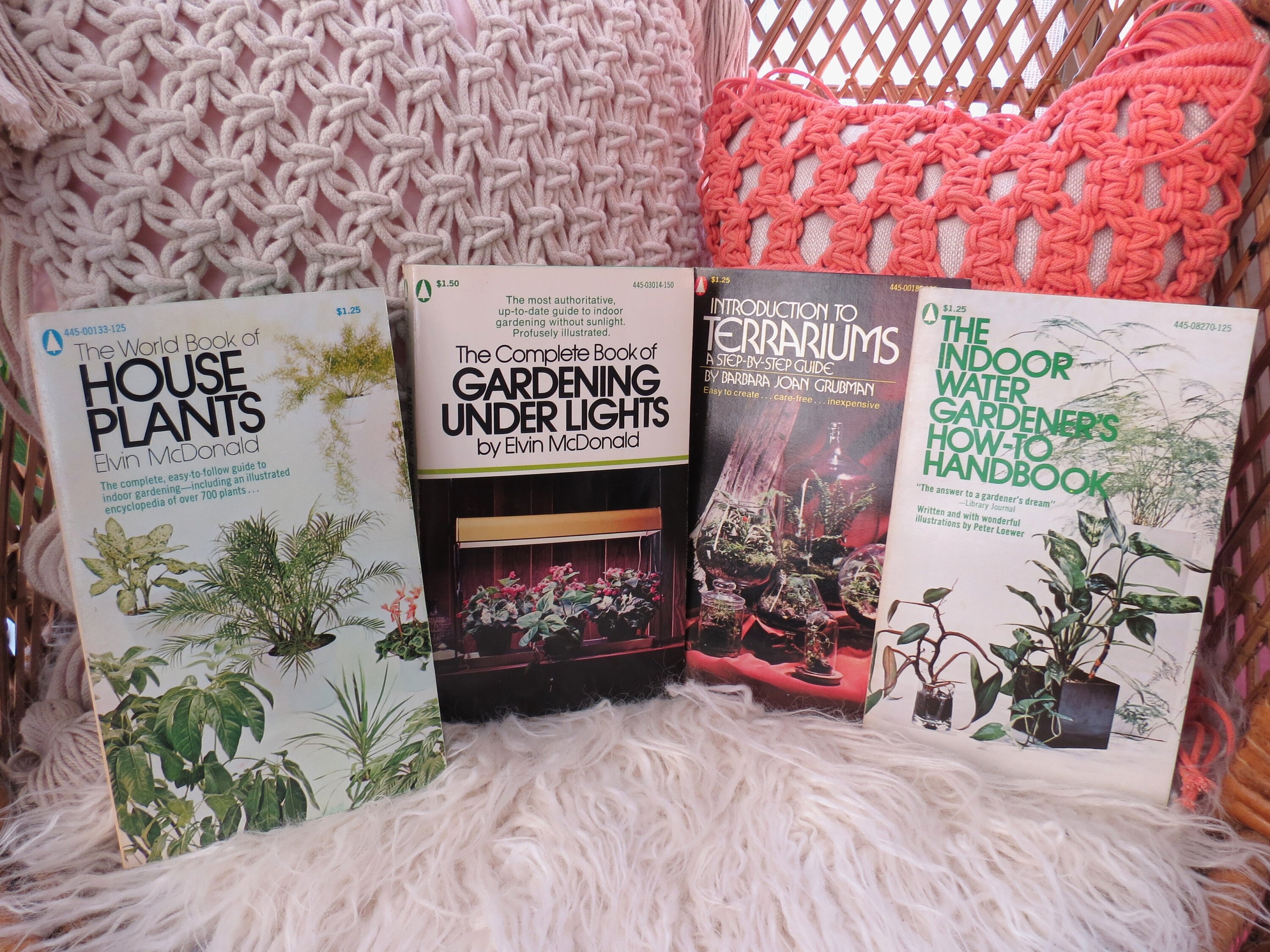 House Plants Book Set Indoor Plant Guides Box