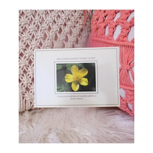 May include: A set of three ceramic mugs with a speckled, matte finish. The mugs are in shades of cream, light gray, and dark gray. Each mug has a simple, minimalist design, perfect for coffee or tea.