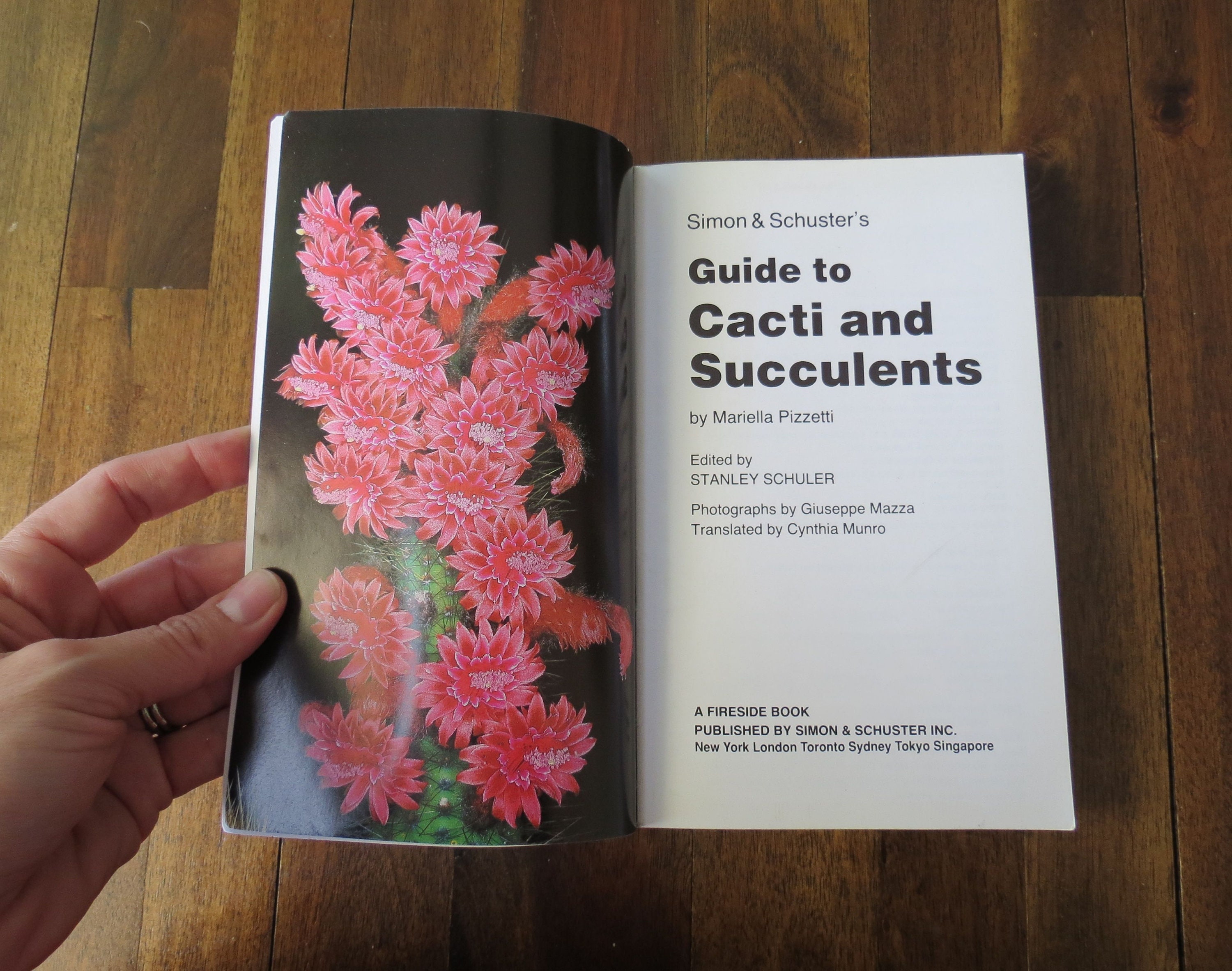 Plant Identification Book For Beginners Common House Plants for